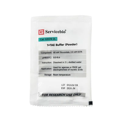 1×tampone TAE (polvere)